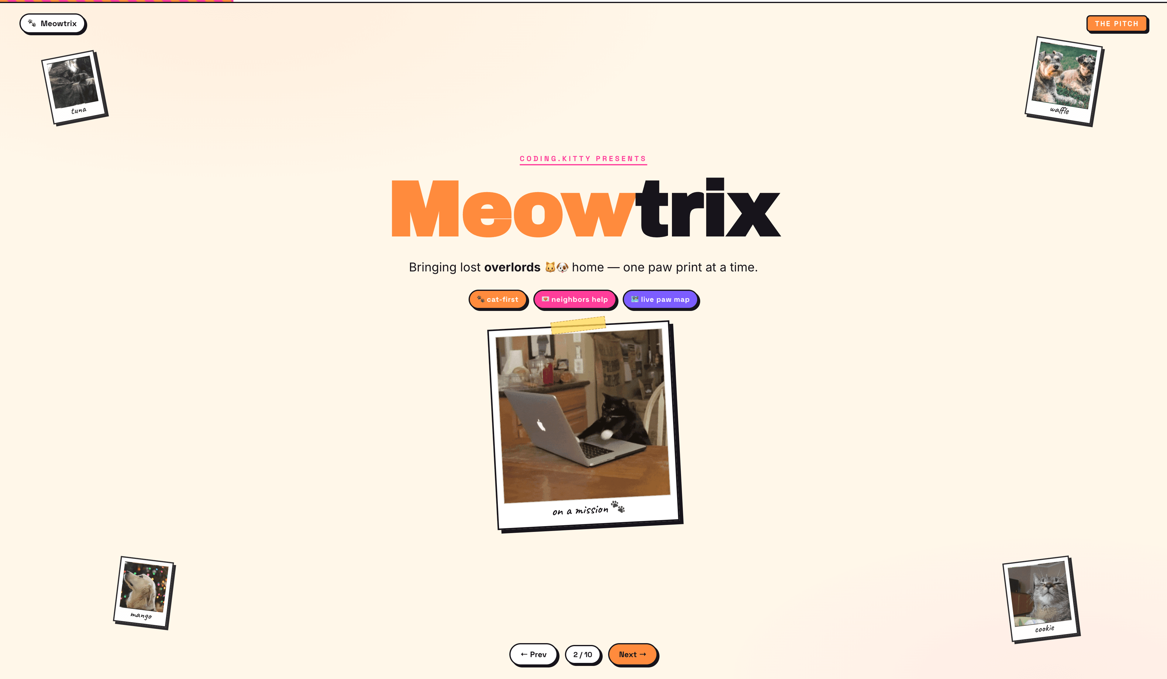 Meowtrix